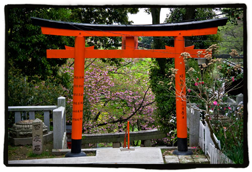 torii